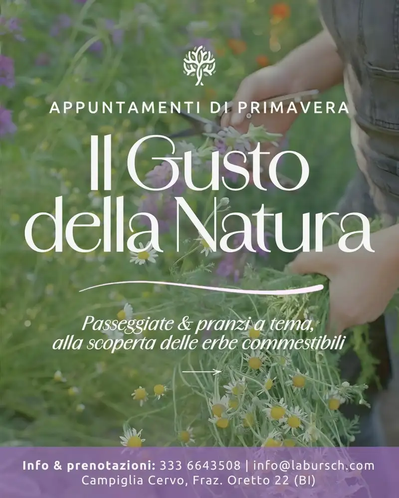Il Gusto della Natura: Giornate alla scoperta delle erbe commestibili