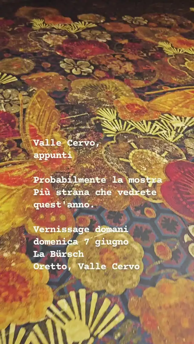 Valle Cervo, appunti - Vernissage