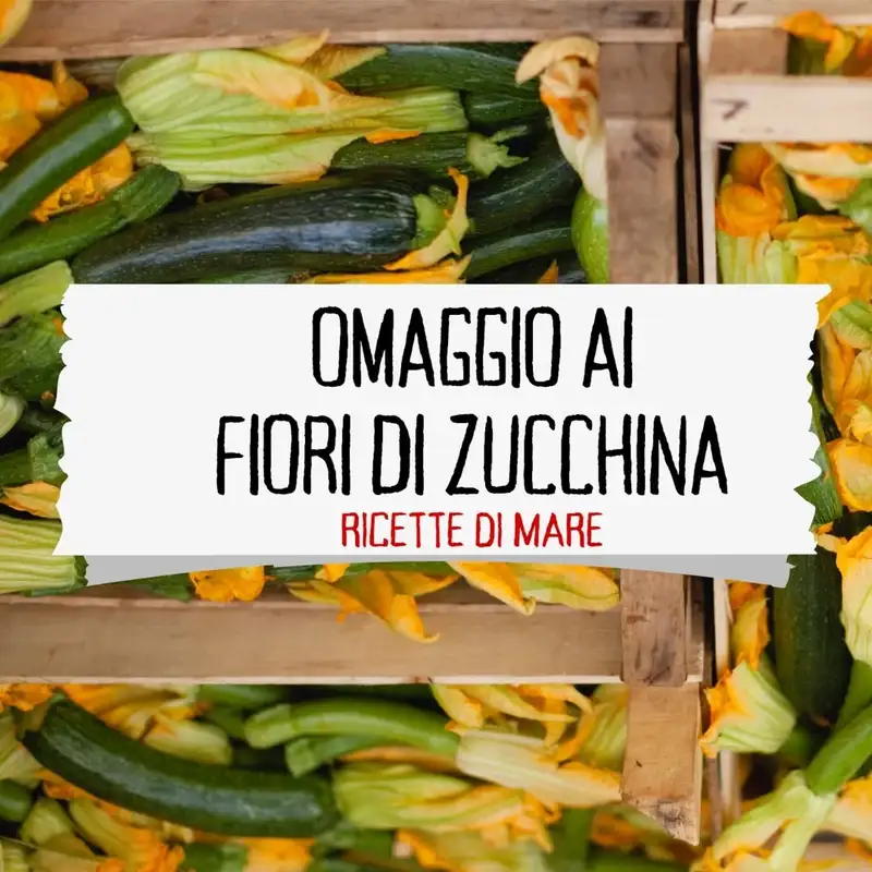 Omaggio ai Fiori di Zucchina - Ricette di Mare