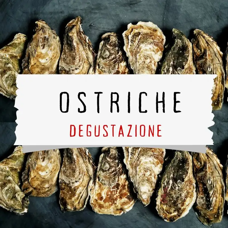 Orizzonte Blu: Degustazione Ostriche Francesi e Vini da Autentico